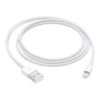 Apple Lightning to USB Cable (1 m)